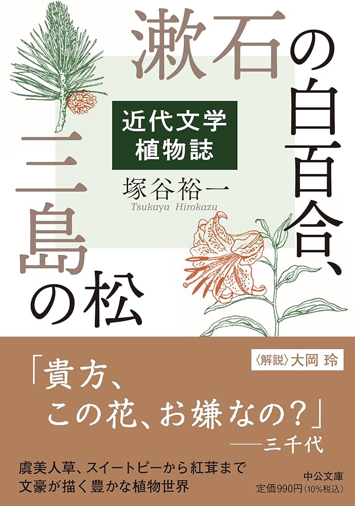 夏目漱石研究 第3巻 /国文社/岡三郎（1929-）（単行本）